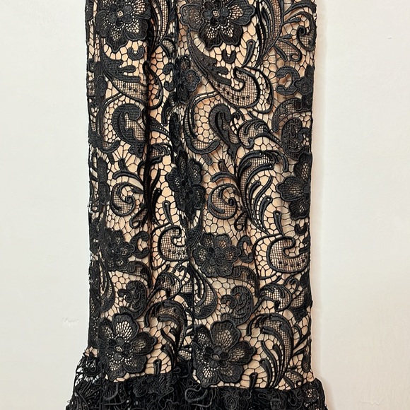 Dress the Population Sophia lace mermaid gown - Picture 6 of 15